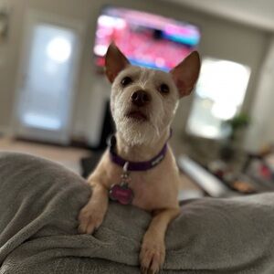 Meet your Posher, Calvin